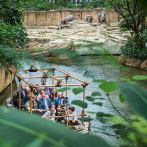 Ausflugsziele in Holland: Wildlands Zoo Emmen