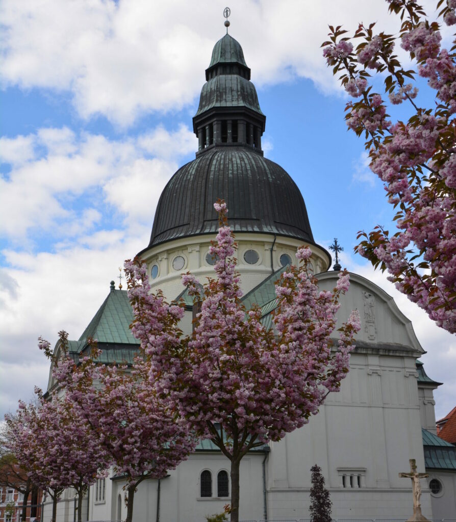 Emsland Dom in Haren