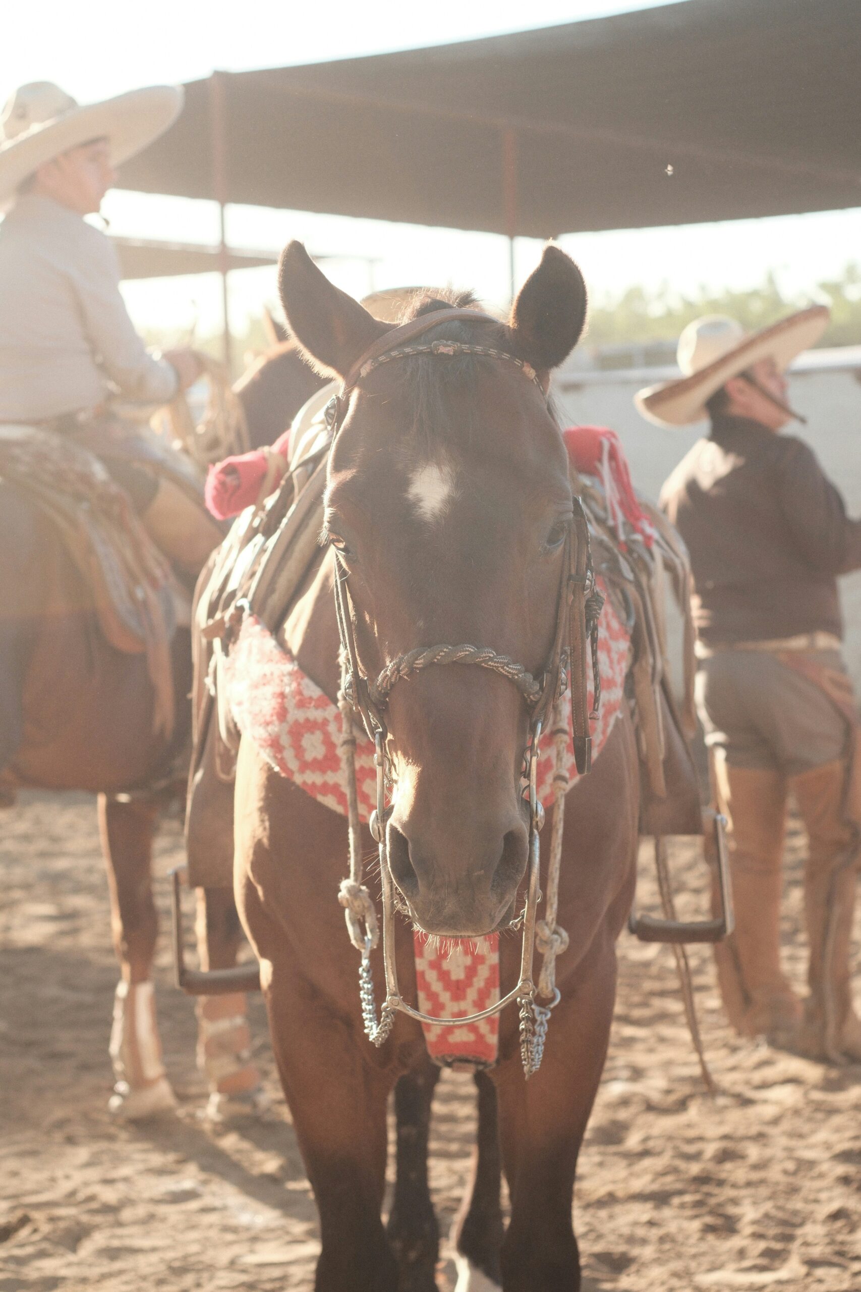 Western Festival-Ferienhof Junkern-Beel-2025