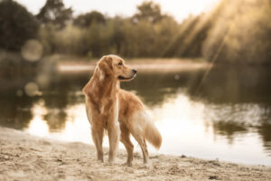 Strandshootings im Emsland-Camp